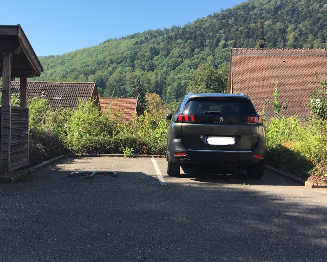 Le Panorama Appartamento Kaysersberg-Vignoble Esterno foto