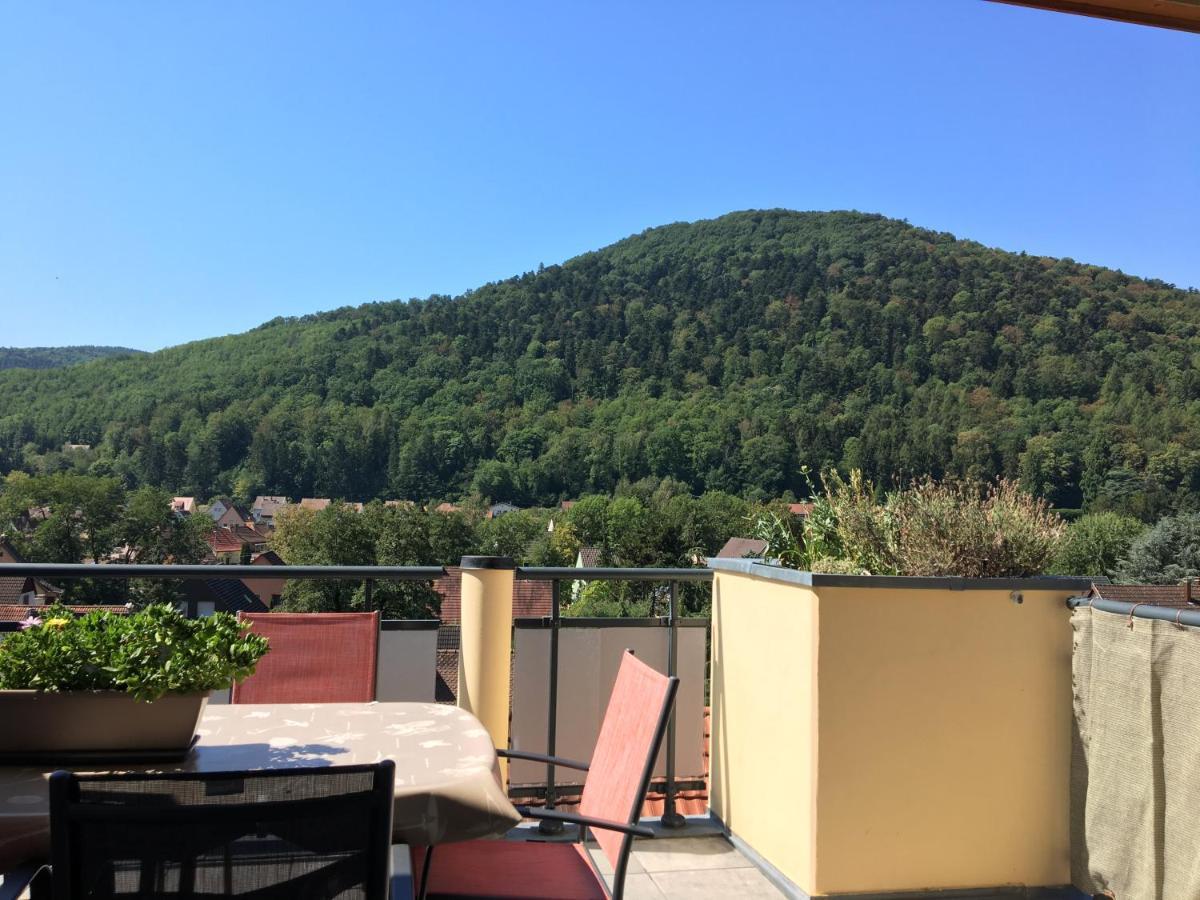 Le Panorama Appartamento Kaysersberg-Vignoble Esterno foto