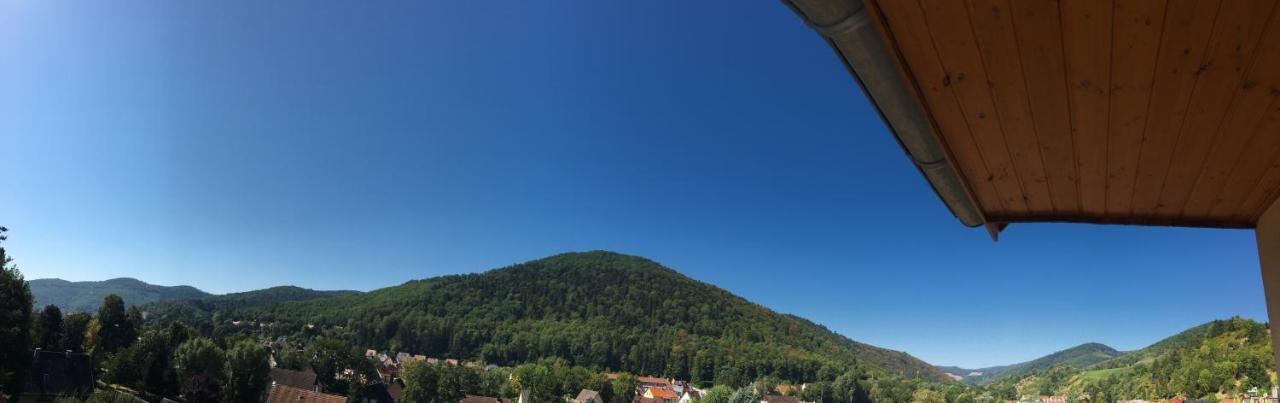 Le Panorama Appartamento Kaysersberg-Vignoble Esterno foto
